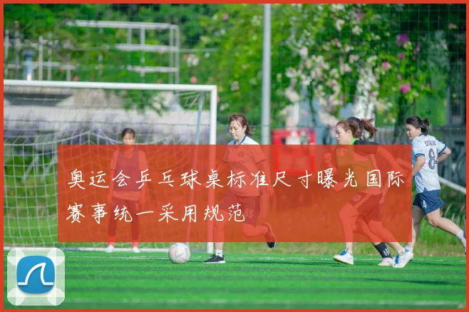 奥运会乒乓球桌标准尺寸曝光国际赛事统一采用规范